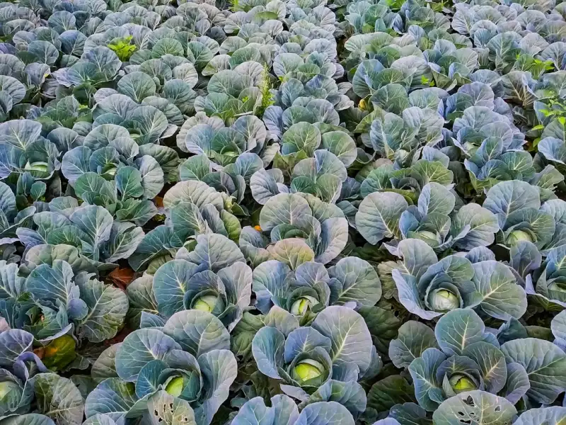 海南零售品牌门店形象设计全流程解析：从动线规划到陈列手册落地