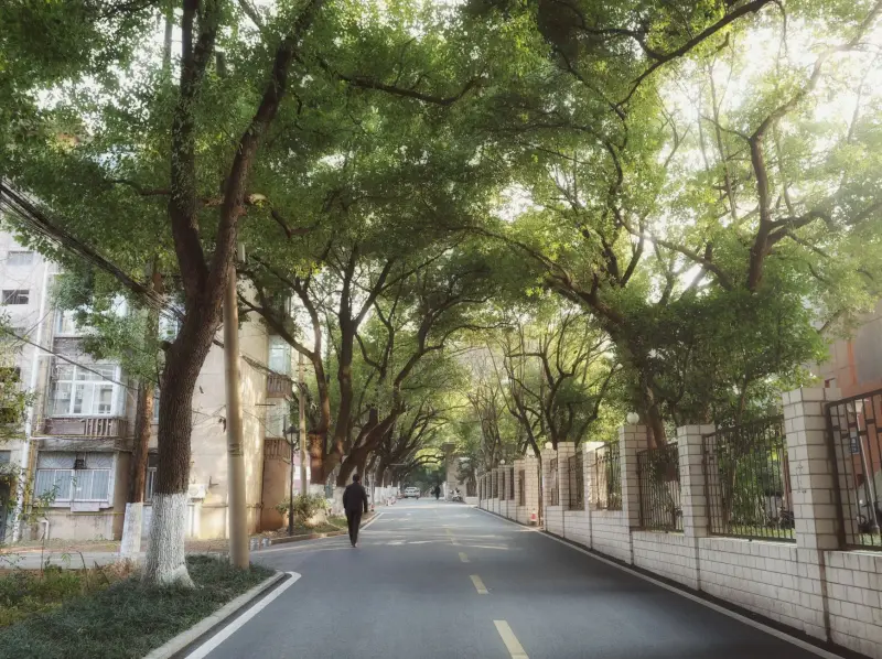连锁品牌陈列手册编制要点：从视觉设计到终端落地的全流程解析