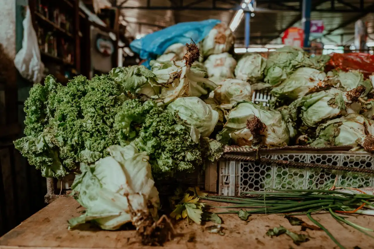 海南零售连锁品牌门店形象设计：陈列手册与橱窗设计整合方案