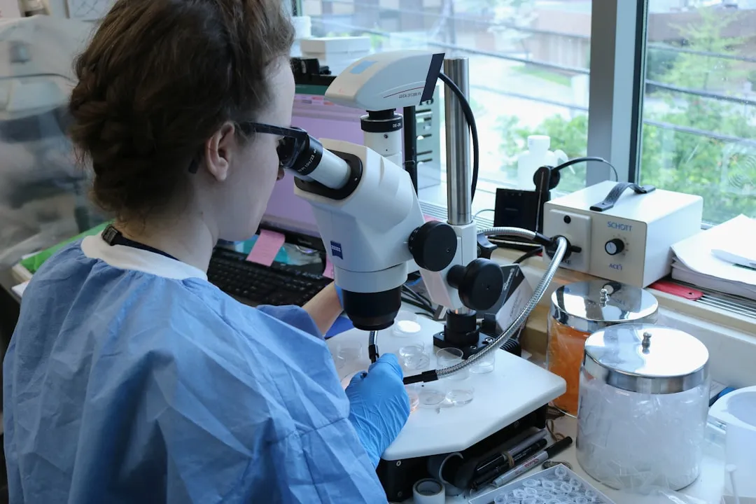 陈列手册与橱窗设计的协同策略：打造连锁品牌终端视觉一致性